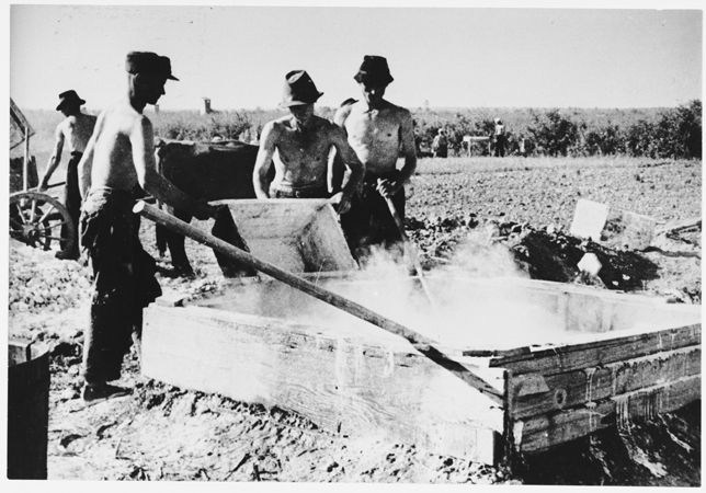 Prisoners forced to labour at the Jasenovac III brick yard